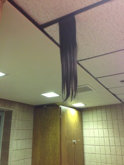 look-for-the-sunshine:  booty-me—down:  sO I WAS JUST SITTING DOWN MINDING MY OWN BUSINESS AND I GET UP TO GO TO THE BATHROOM AND I FUCKING SEE THIS. SOMEONE CLIPPED A HAIR EXTENSION INTO THE CEILING. I THOUGHT THE FUCKING GRUDGE WAS GOING TO END MY