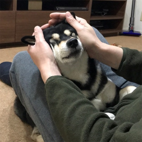 IDEK What This Blog Is Anymore (NSFW at times)