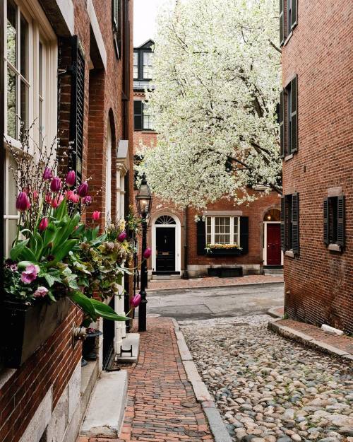 myfairylily:Acorn Street, Beacon Hill, Boston | kimmyn_