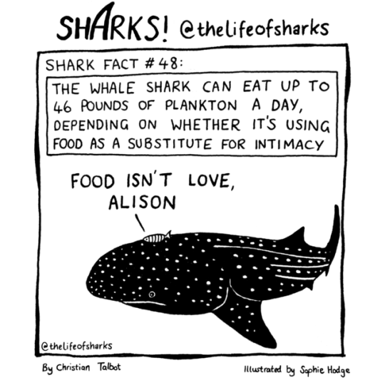 Sex thelifeofsharks: pictures