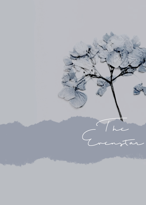 snowhites:  “But the Queen Arwen said: ‘A gift I will give you. For I am the daughter of