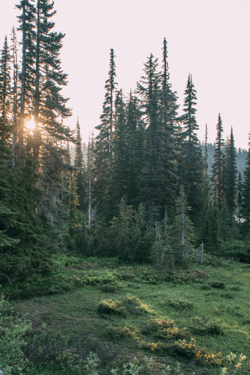 rhiannatruexx:alpine meadows