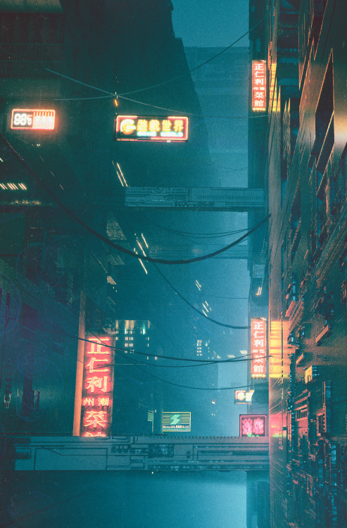 beeple:    KOW.T6  