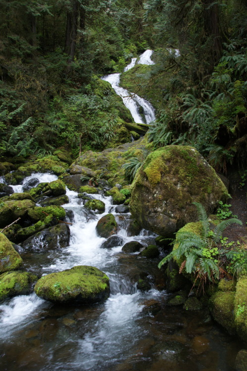 Because green - Bunch Falls, WA.