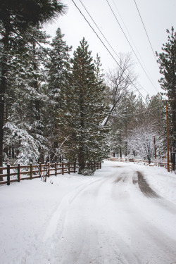 walkrightoffintothesea:  Snowy Roads Big Bear, 2916 