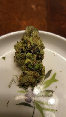 kidwifthehair:  This is what I am smoking on.