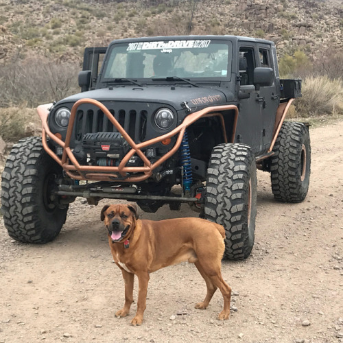 The co-driver wanted to see a cactus too #jeepdog #pscmotorsports #rubiconexpress #warnwinch #hemiwr