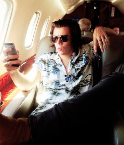 blamestyles:  louteasdale: Harry’s come to work dressed as Ace Ventura today 