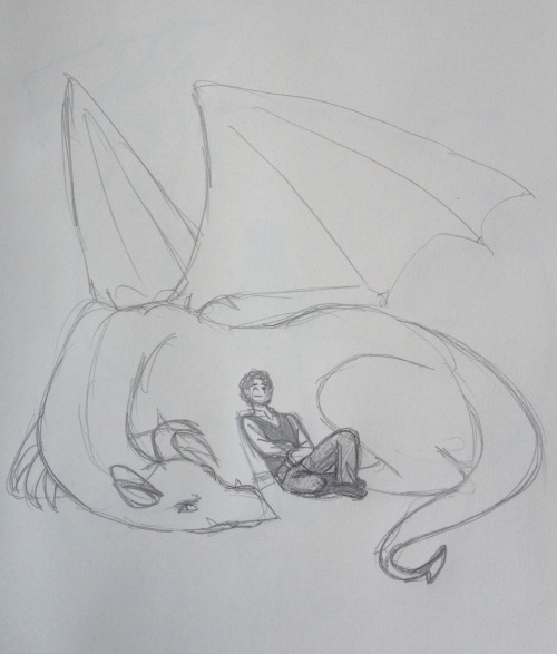 alicedrawslesmis: DID SOMEONE SAY DRAGONS Given the amount of dragon-rider amis AUs I’ve seen 