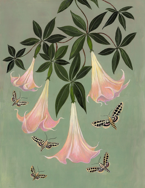 Angel’s TrumpetsGouache on paper, 2021by Kelly Louise Judd