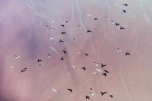 landscape-photo-graphy:  Abstract & Artist Aerial Landscape Photographs of Southern Africa by Zack Seckler  Weiterlesen