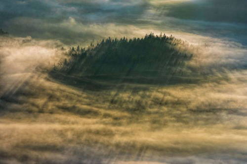 five-guns-days:   landscape-photo-graphy :Photographer Captures the Poetic & Enigmatic Beauty of the Slovenian Forest Slovenian photographer Filip Eremita has devoted his time in capturing the Slovenian forest and its majestic tranquility and wisdom.
