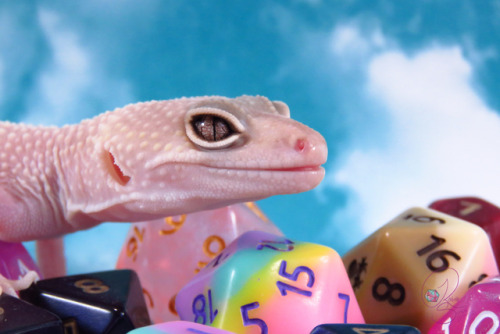 boxodice: a very pink dragon.