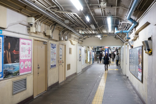 t-tomiya: 2015.1.15 Tokyo_Metro Marunouchi_Line Honancho_Station / 東京地下鉄 丸ノ内線 方南町駅