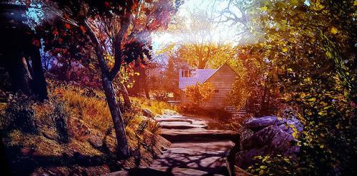 vaultgirl2077: Fallout 76 is gorgeous.