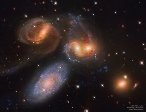 2019 June 3 Stephan&rsquo;s Quintet from Hubble Image Credit: NASA, ESA, Hubble; Processing: Dan