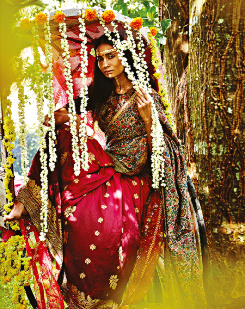 fairstrike:  aashiqaanah:  Types of Indian brides  kharrisdawndancer 