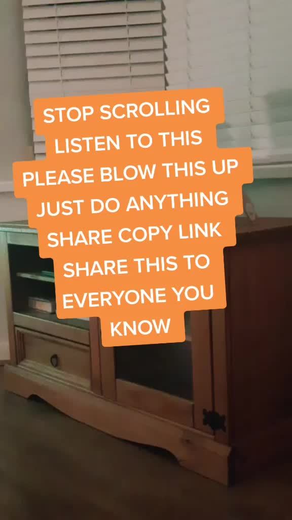 🐢Turtle boi🐢 on TikTok