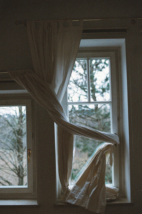 ★Serendipity★