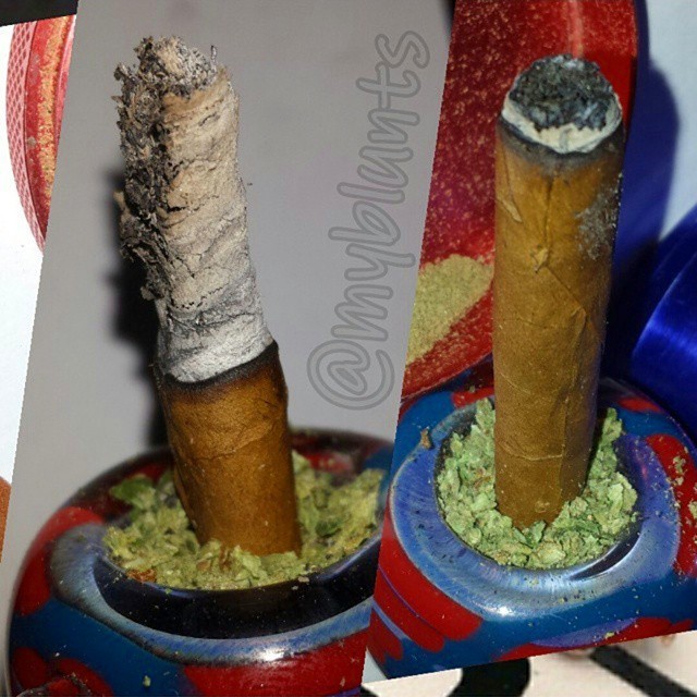 weedporndaily:  @MyBlunts