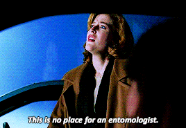 scully-gifs:  “Should I come along with you?” 