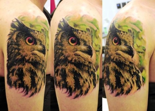 Porn Pics Owl ink