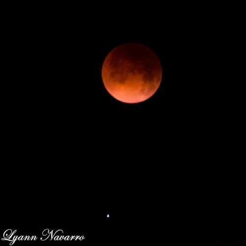 boricualyann:  #Eclipselunar #LunaRoja #Caguas #Puerto_Rico