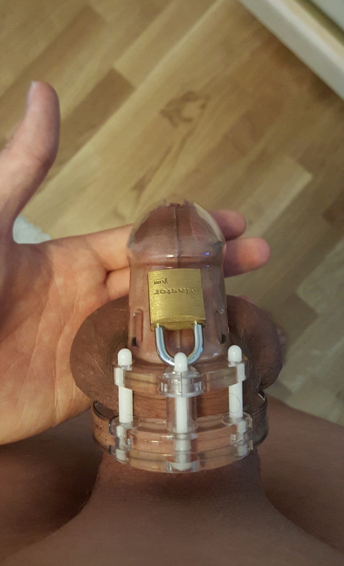 mastera6:  My 18 yo dick locked in chastity.———————————————————–A