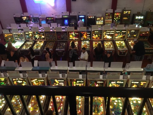 Oh now that I’m sorta posting to tumblr again: did I show you guys this pinball museum we went
