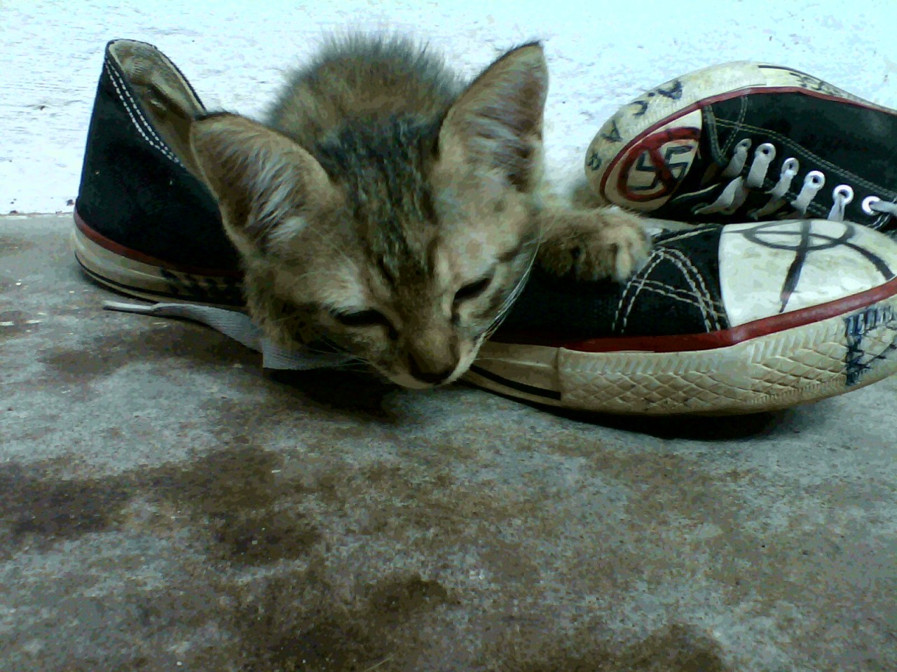 vomitando-borboletas:  Trish ♥ 