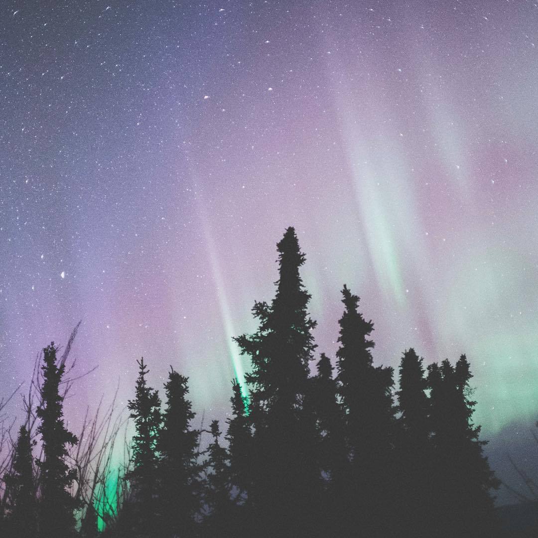 vintagepales:    Fairbanks, Alaska by  mightykills   