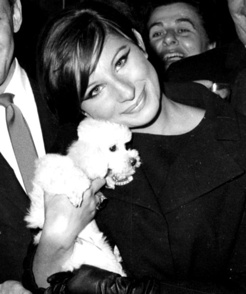 yestergaze: Barbra Streisand and her dog, Sadie in 1964.