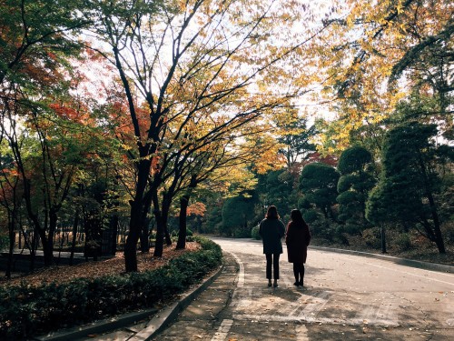 Autumn on the campus of Korea University.Korea University’s historic main hall was completed i