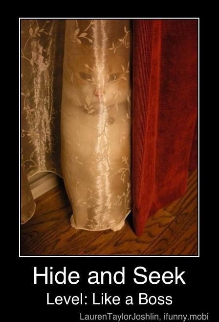 mylolthatwasfunny:  Free Laughs & Free Stuff at http://lolthatwasfunny.3owl.com 