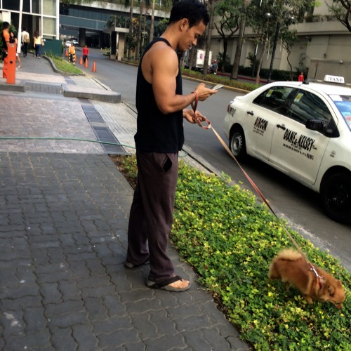 Hot guy walking his dog bro