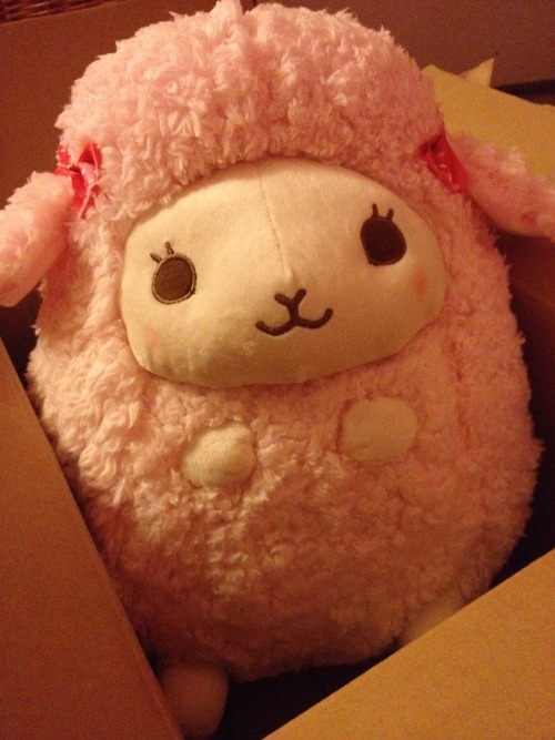 grumpymuffin:  uwushi:  my baby mary plush came in today~💖  I <3 how in the first one she’s all “so squish. halp!” next pic *puff* { ‘w’ } 