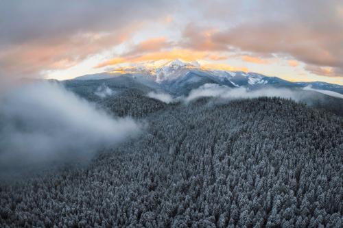 oneshotolive:  The top of Mt. Hood peaking through the clouds over a winter wonderland [OC] [2508x1672] 📷: AK-Photo 