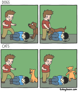 thefrogman:  tubeytoons:dogs vs cats[webcomic