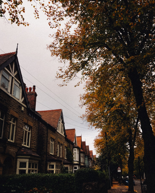 a cosy morning before a walk into the city in an autumnal Sheffield