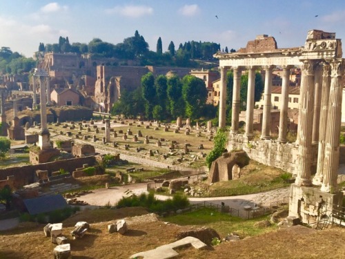 noragaribotti: Partial view of the Roman Forum-The Temple of Vespasian sits in the right forefront, 