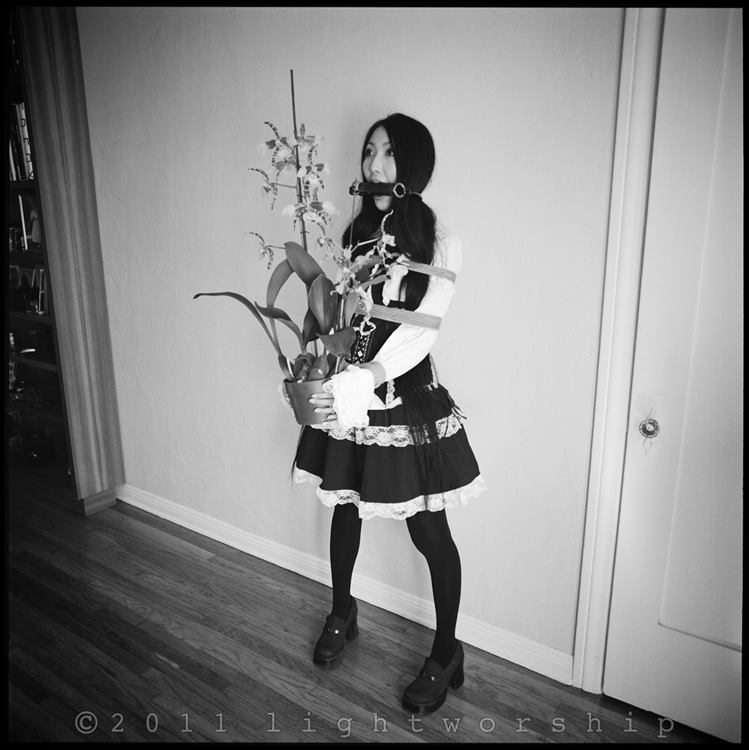 sashalee-kong:  12-30-14: and this would be more…following &lt;3 Sasha    