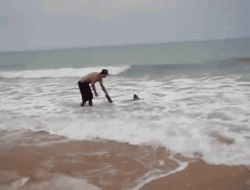 Man Saves a Sharklook at that man. When the shark starts thrashing around he just lets go and calmly