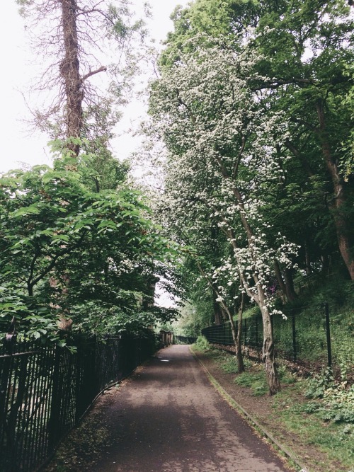 forest-dreams: The most wonderful stroll today through Dean Village, Edinburgh.
