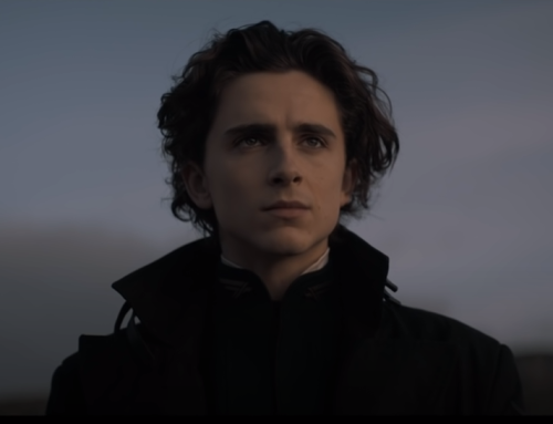 housealderscorn: It was very kind of  Denis Villeneuve to cast Timothée Chalam