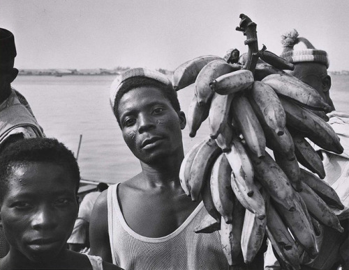 joeinct:  Bananas, Nigeria, Photo by Ken Hayman, 1959  