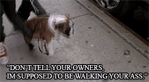 cudichildish:  Eh, I’d still let him take care of my Dog..