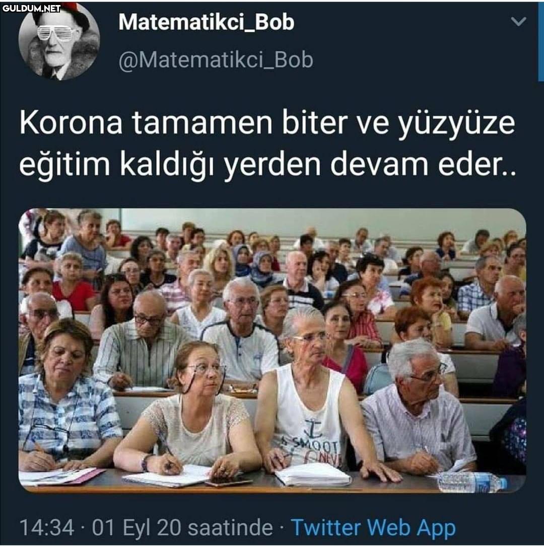 Matematikci_Bob...