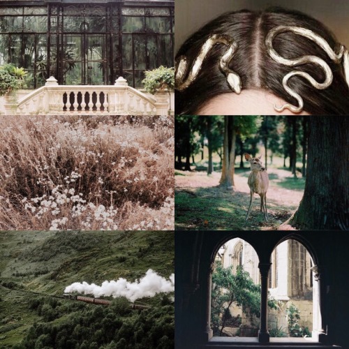 crazynifflers - Slytherin , Doe Patronus || aesthetic ||...