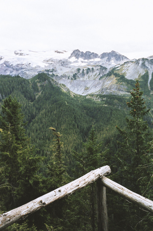 thrilled-d:homeintheforest:Mount Rainier National Park by Alesha Brown