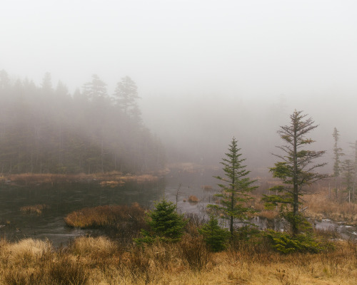 White Mountain National Forest.New Hampshire. November 2015